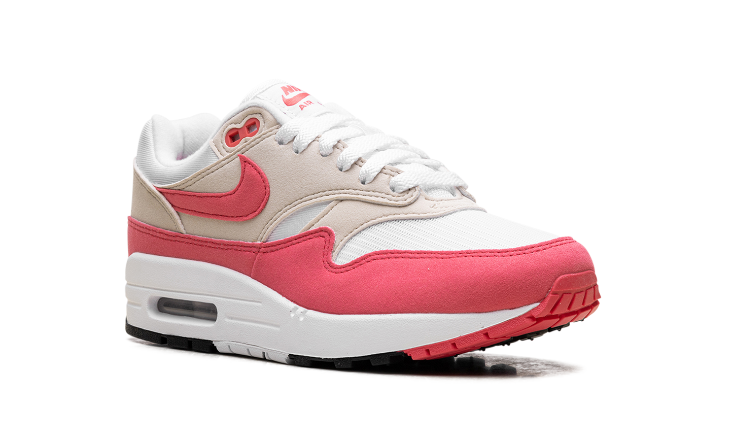 Nike Air Max 1 Aster Pink (Women's)