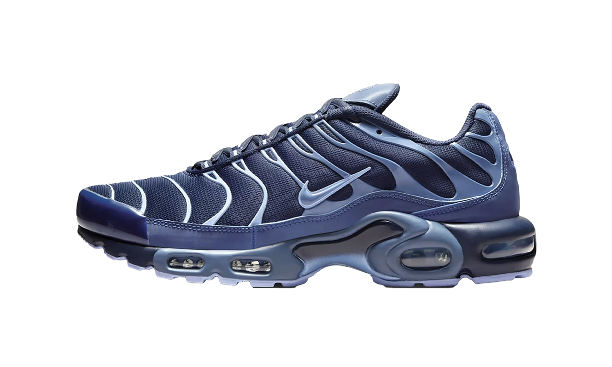 Nike Air Max Plus Obsidian Aluminum