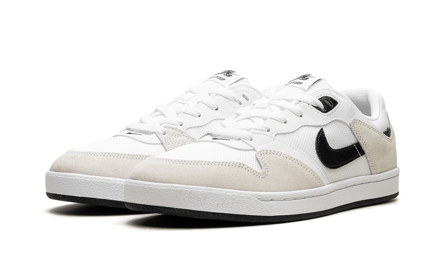 Nike Sb Alleyoop White