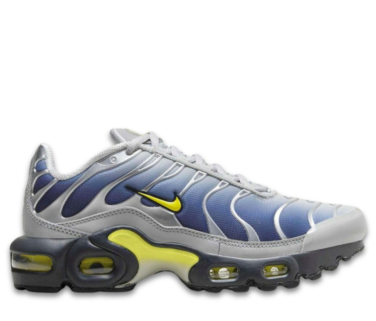 Nike Air Max Plus Obsidian Silver (GS)