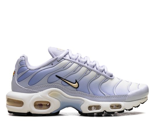 Nike Air Max Plus Daybreak (Women's)