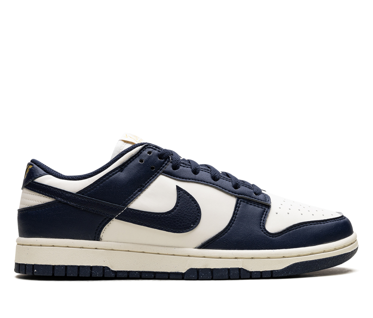 Nike Dunk Low Next Nature Olympic (Women's)