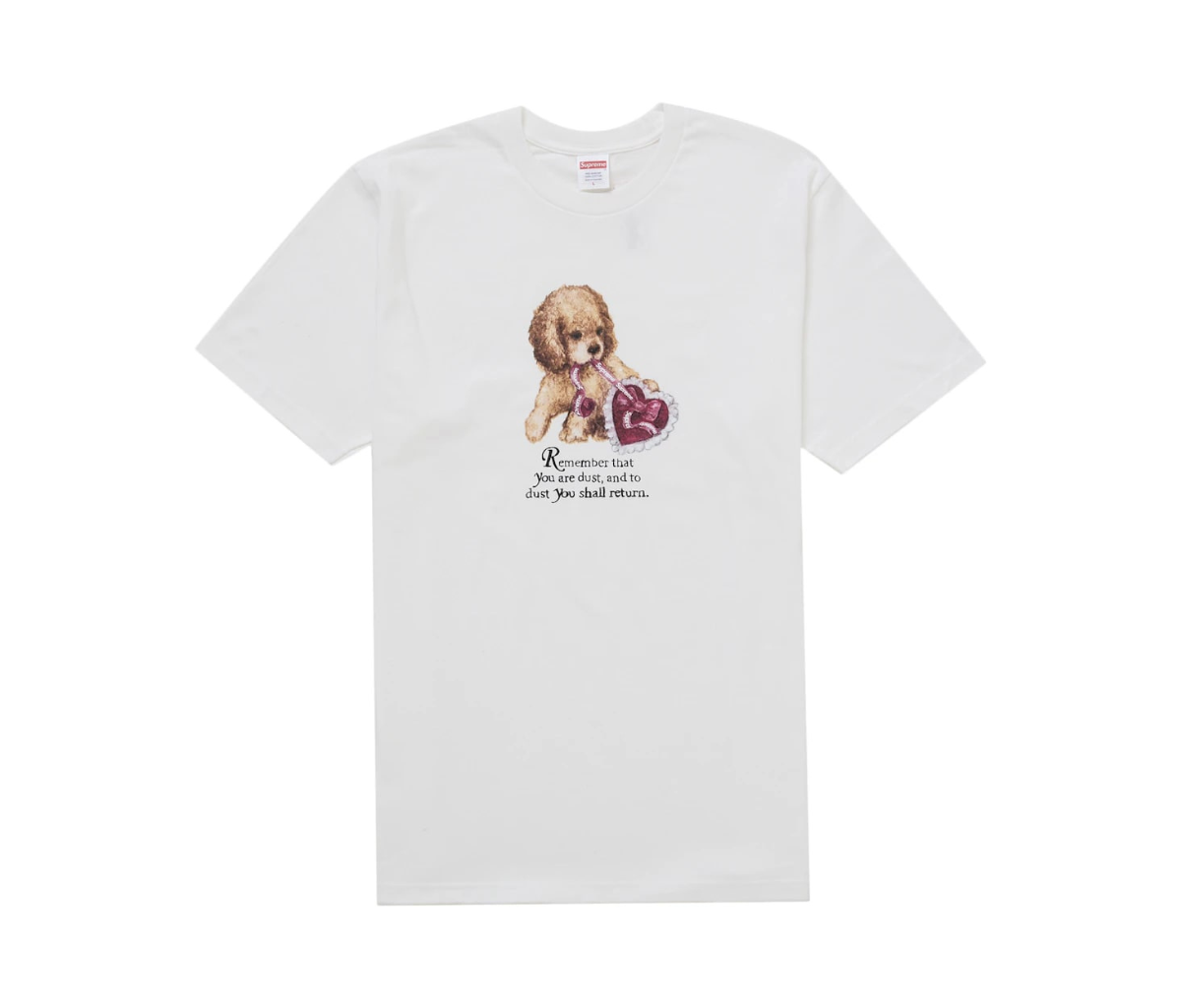 Supreme Dust Tee White
