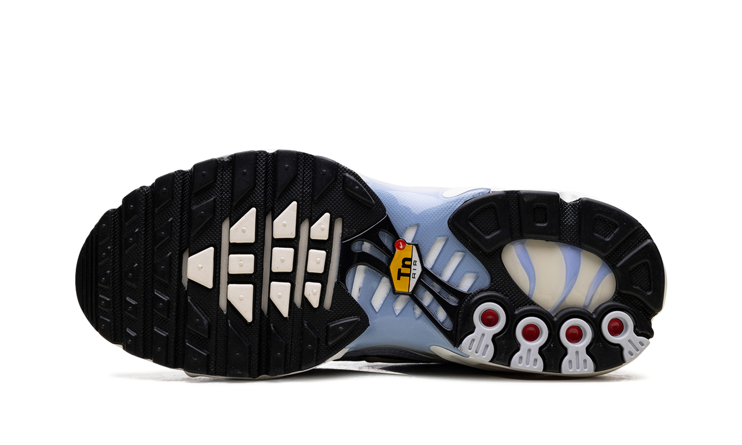 Nike Air Max Plus Daybreak (Women's)