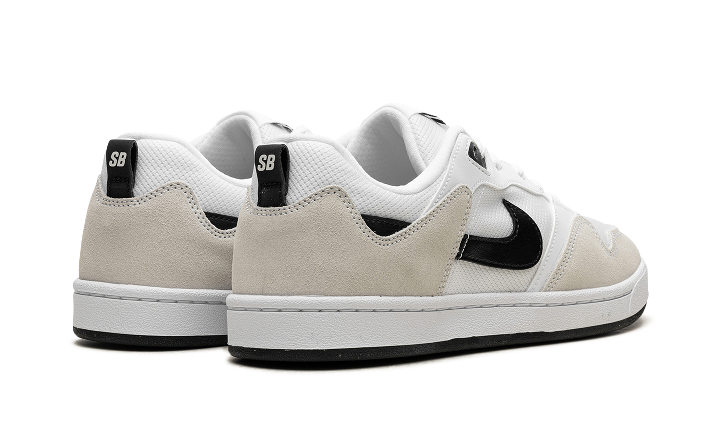 Nike Sb Alleyoop White