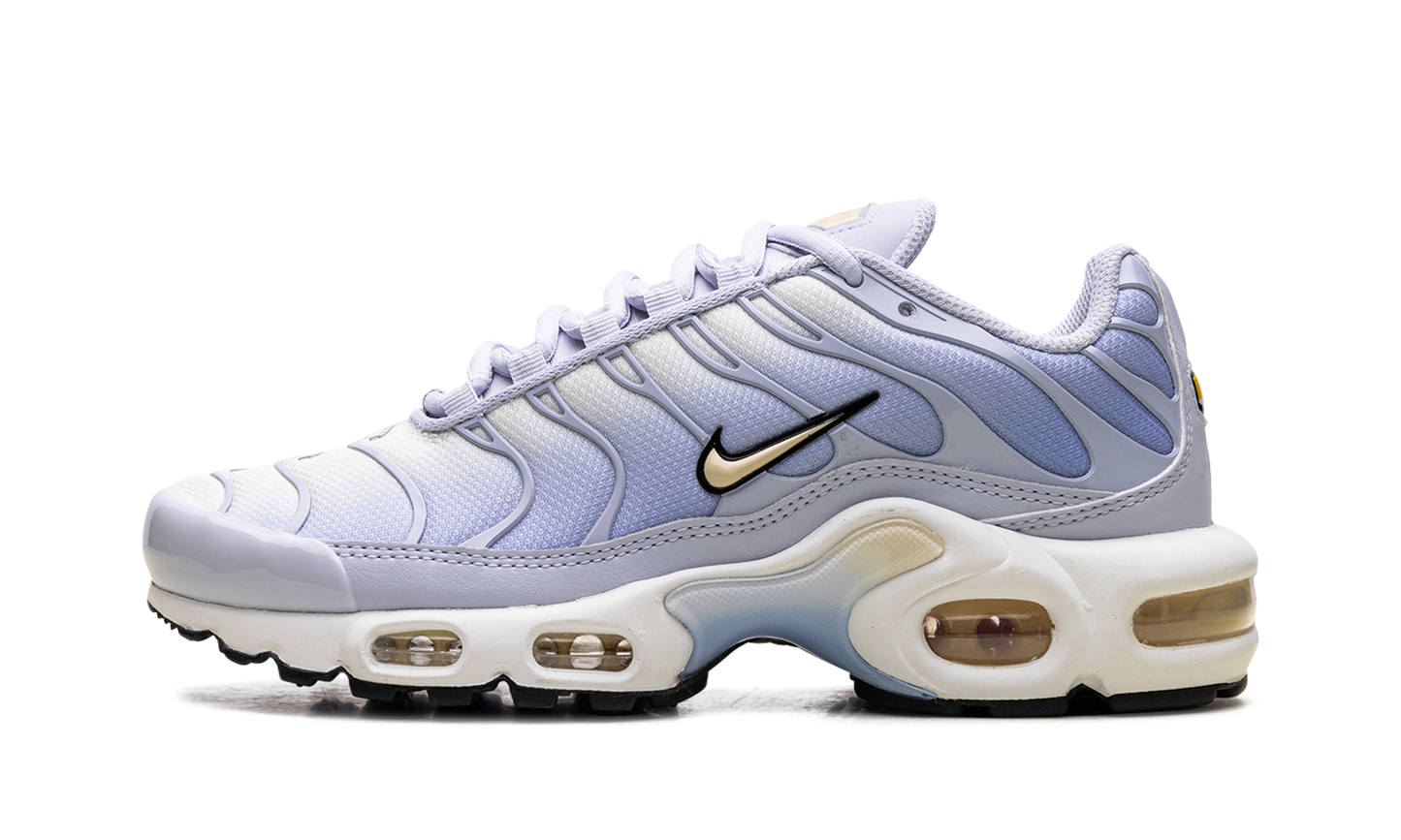 Nike Air Max Plus Daybreak (Women's)