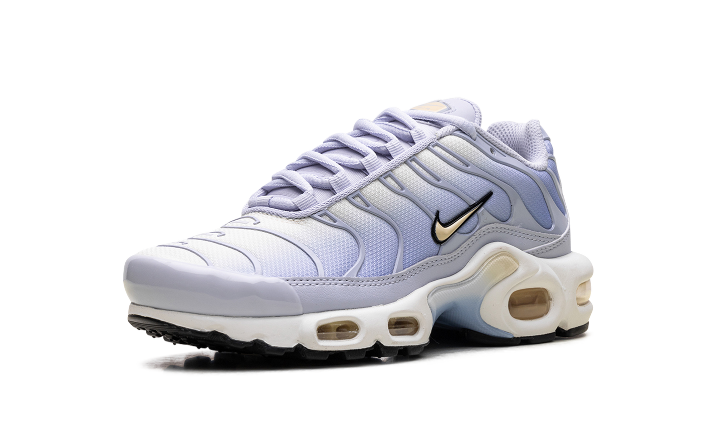Nike Air Max Plus Daybreak (Women's)