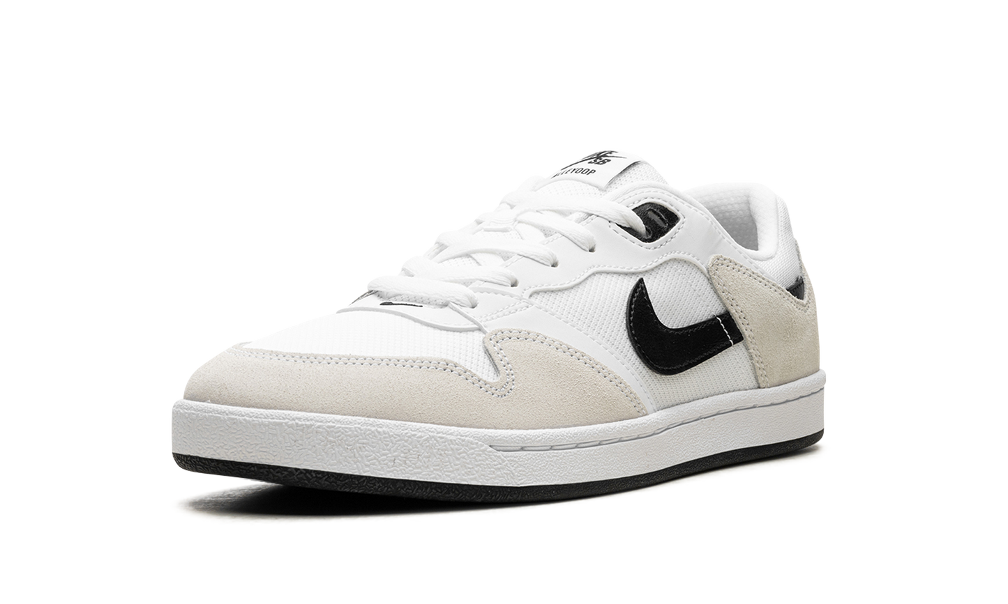 Nike Sb Alleyoop White