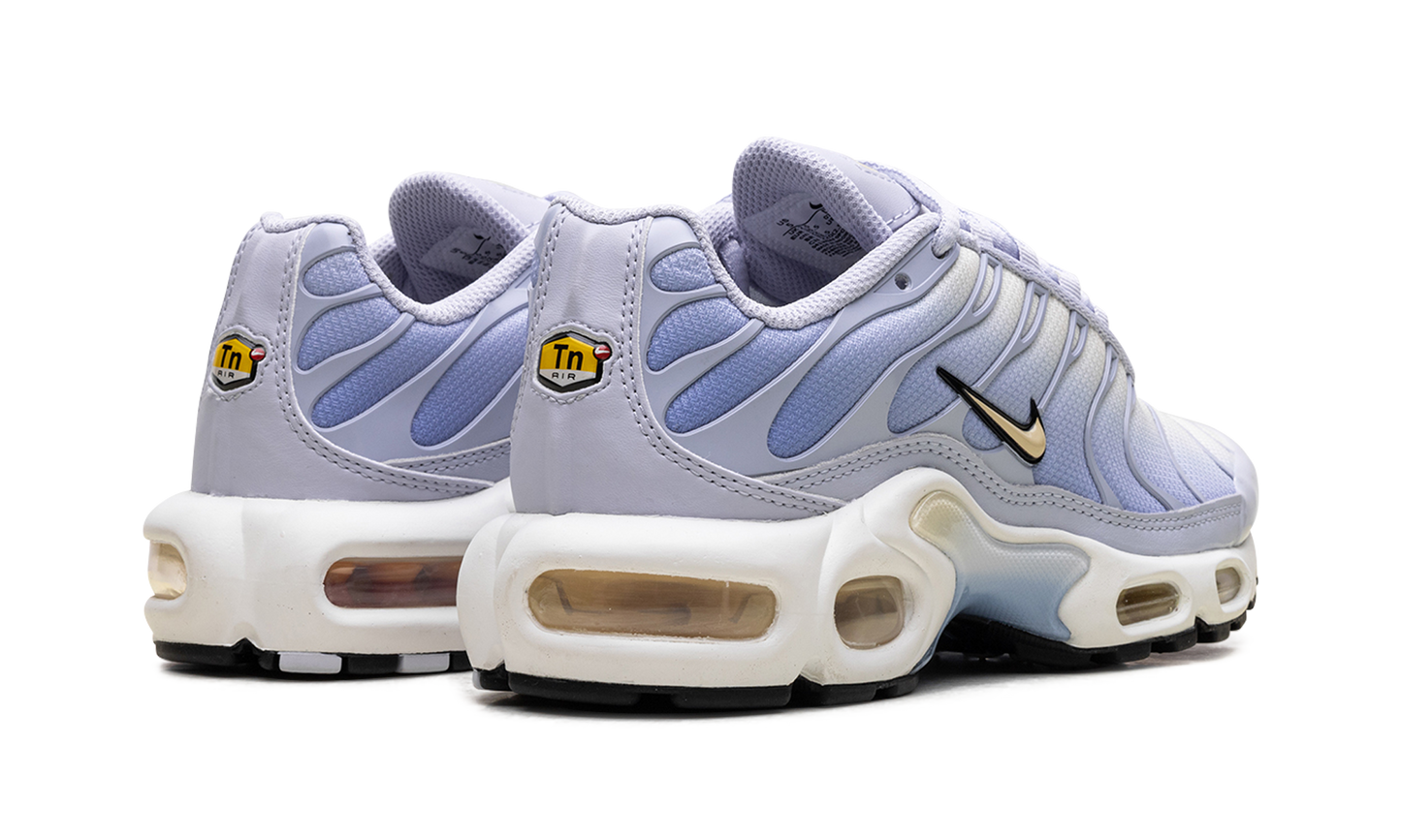 Nike Air Max Plus Daybreak (Women's)